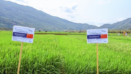 避開人潮！2020年三亞農(nóng)業(yè)科技主題小眾景點攻略合集