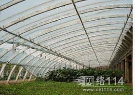 耕耘未來 農(nóng)業(yè)科技如何重塑現(xiàn)代農(nóng)業(yè)