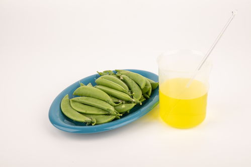 甜碗豆食品安全 農(nóng)業(yè)科技、食品培育與視覺(jué)表達(dá)的交匯點(diǎn)